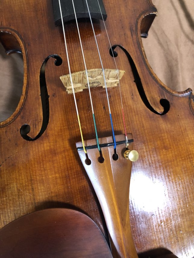 新入荷 流行 バイオリン4 4弦セット E:ゴールドブラカット A.D.G