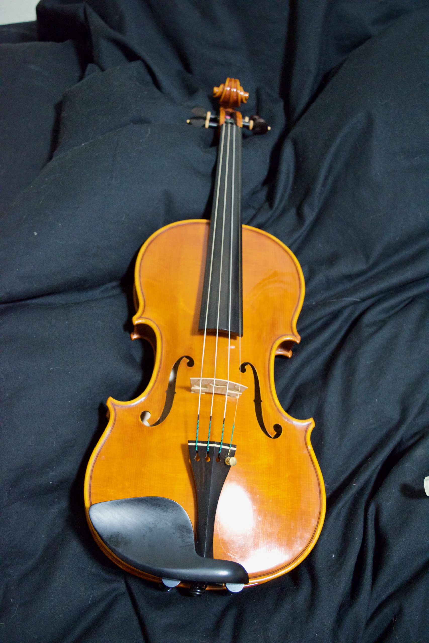 最大75%OFFクーポン 新品 バイオリン弦 ゴールドブラカット E線 0.26 ループ